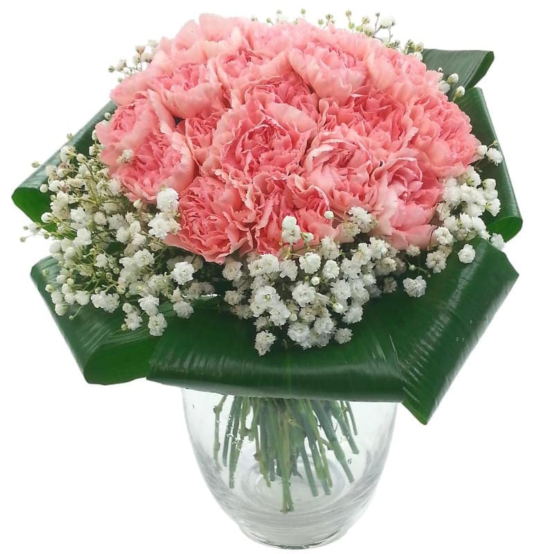 2 Dozen Pink Carnations