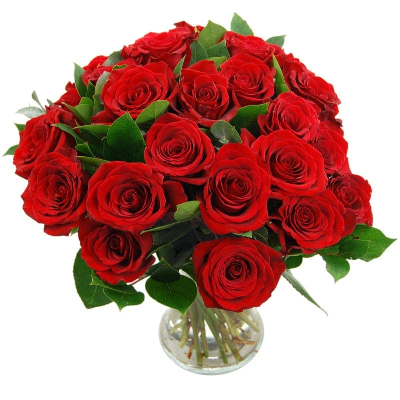 24 Red Roses Fresh Flower Bouquet Red Rose Flowers Arranged with Free Next Day Delivery