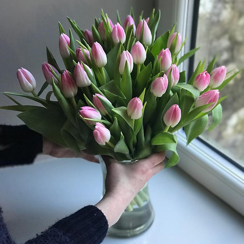 Flower Trade Seasons Flower Experts Gives You Tips And Advice On Everything Flower Related