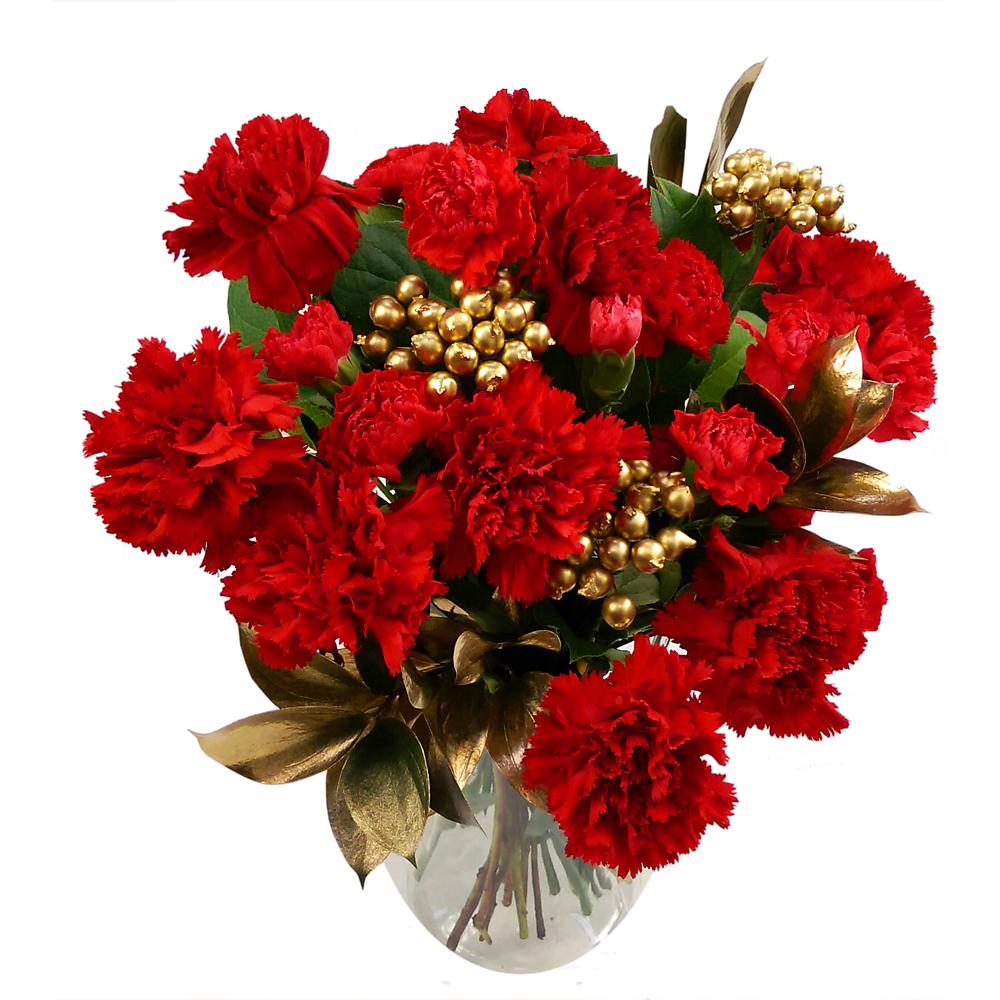Carnation Sparkle Fresh Flower Bouquet Festive Red Carnations and