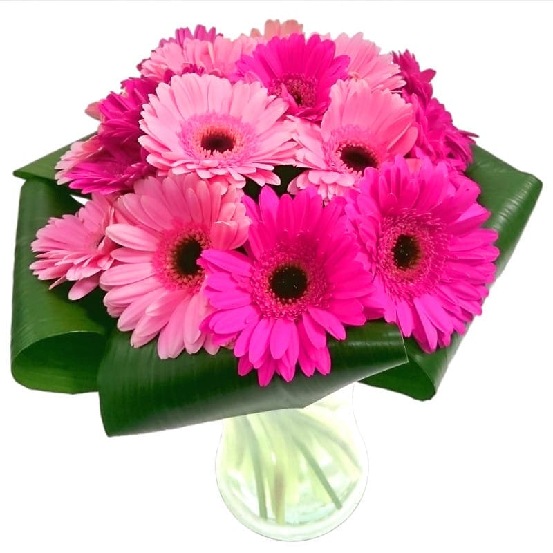 Image of Gerbera Gem Bouquet