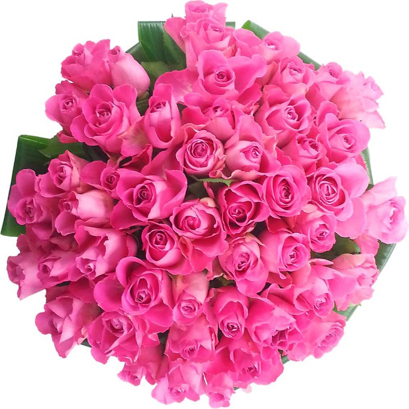 My Image 30