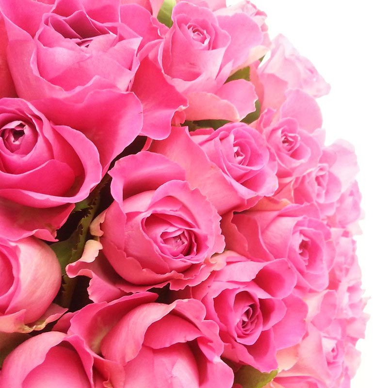 Luxury 50 Pink Roses Fresh Flower Bouquet Collection of Beautiful