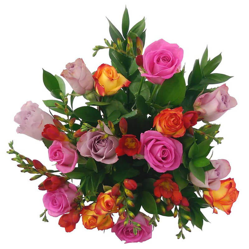 Daydream Delight Fresh Flowers Free UK Delivery