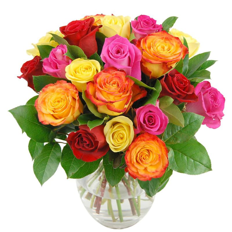 Image of Rainbow Roses