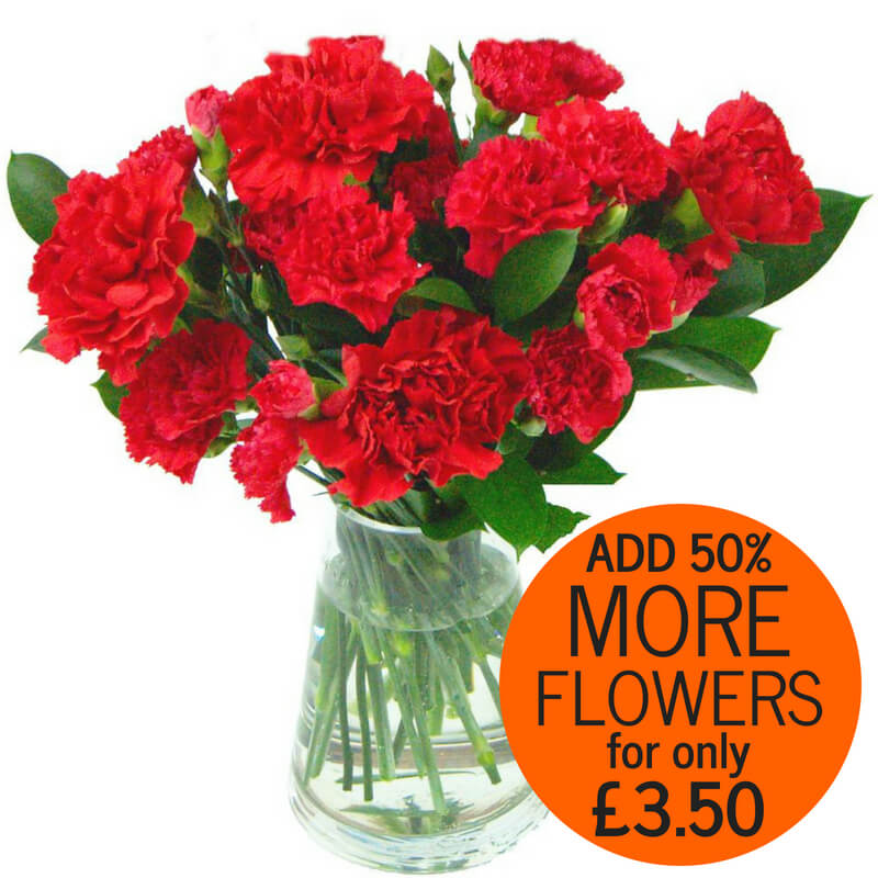 Red Carnations UK flower delivery by Clare Florist.