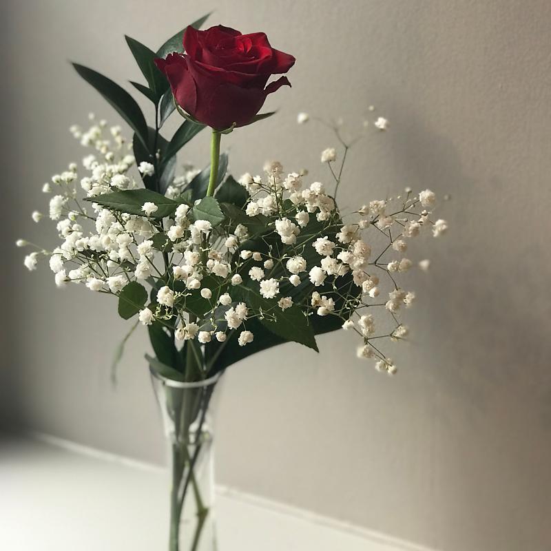 Single Red Rose Gift Set Fresh Red Rose, Vase and Chocolates for Next