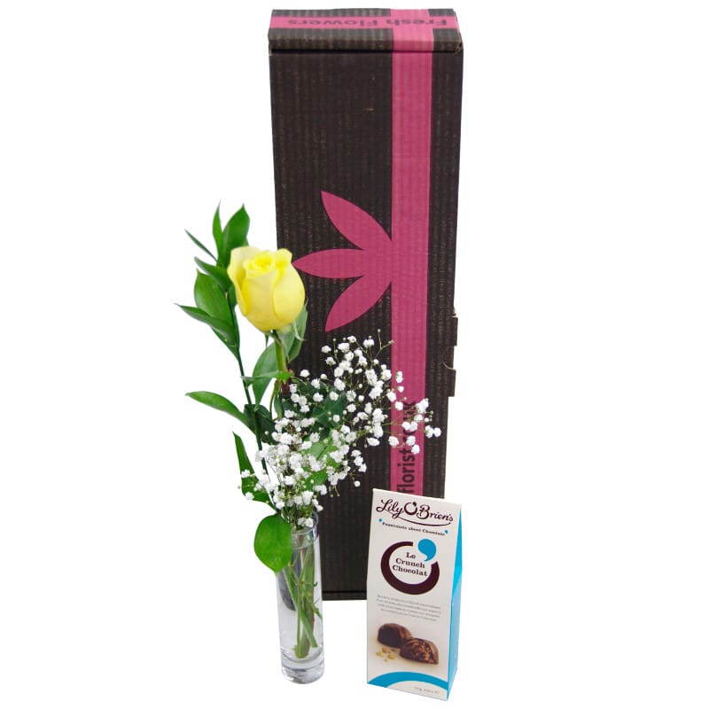 Single Yellow Rose Fresh Flower Gift Set Beautiful Yellow Rose