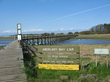 flower delivery to aberlady with clare florist