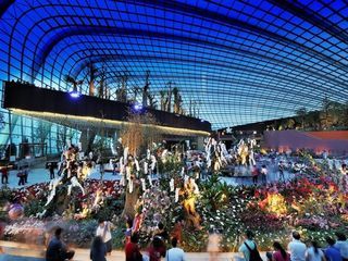 Singapore, Supertrees and the Flower Dome