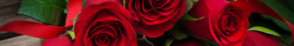 Peach Roses
