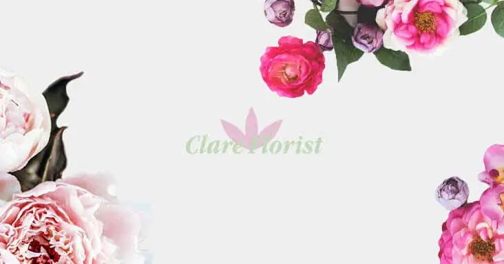 The Clare Florist Florapedia Part One: Roses
