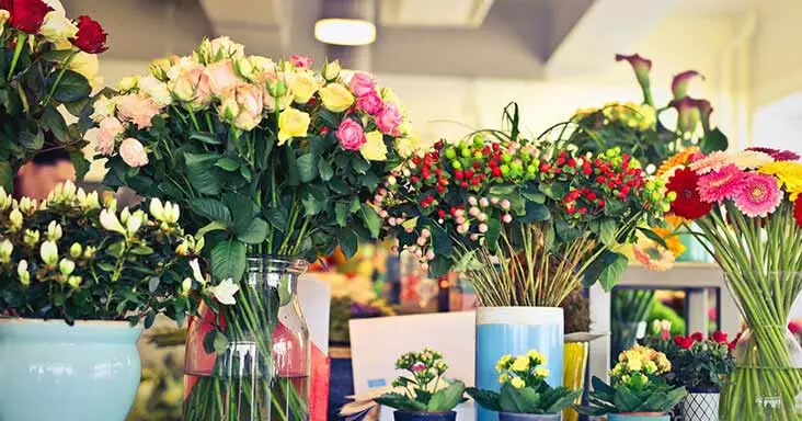 The Positive Effect of Flowers on Workplace Productivity
