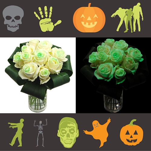 Glow in the Dark Roses 2015