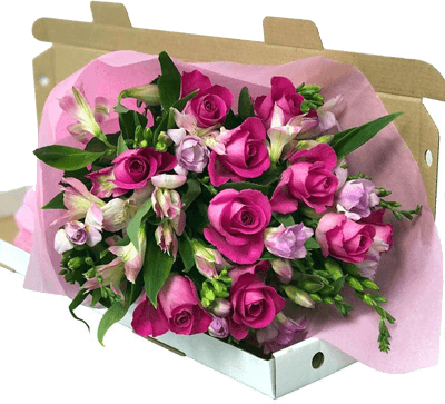 Letterbox Flowers