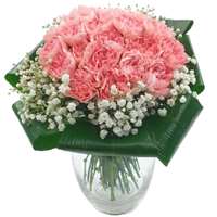 2 Dozen Pink Carnations