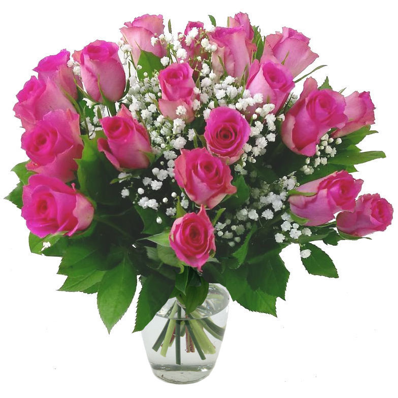 Image of 20 Pink Roses with Gyp