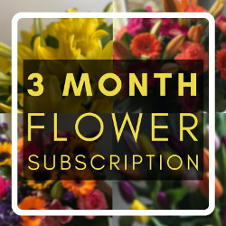 3 Month Flower Subscription