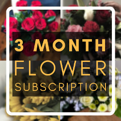3 Months of Flowers!