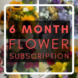 6 Month Flower Subscription