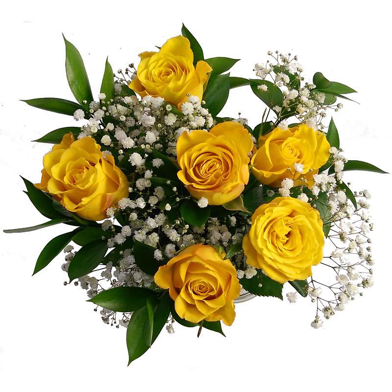 Send 6 Yellow Roses Bouquet - UK Next Day Delivery by Clare Florist