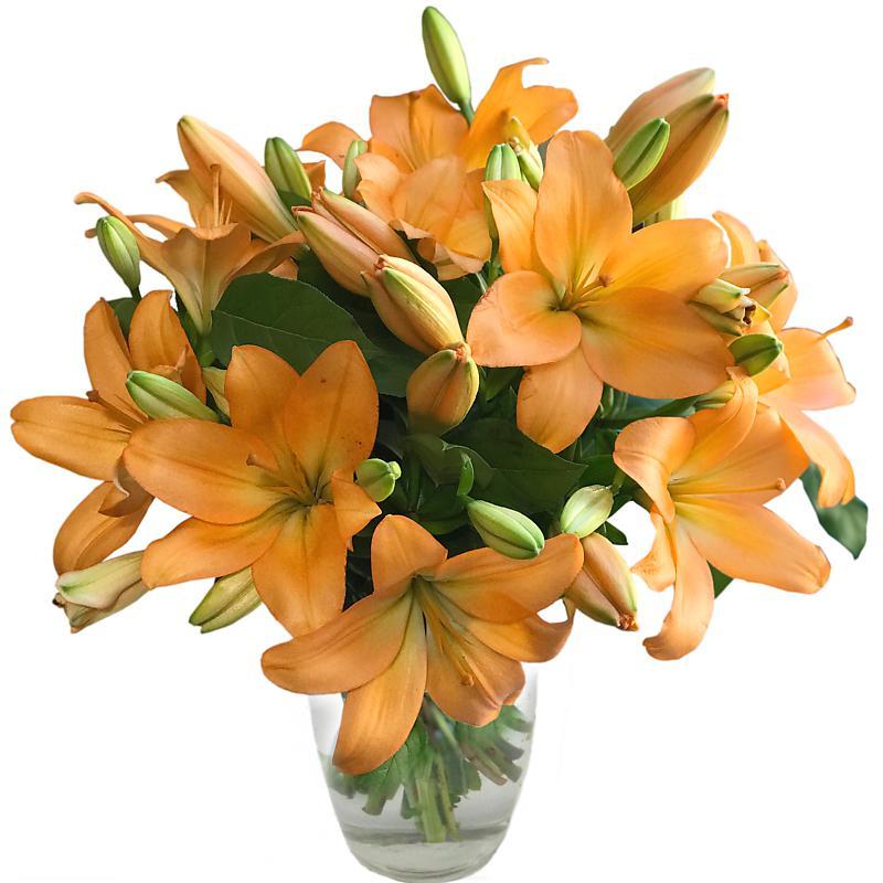 Amber Lilies image