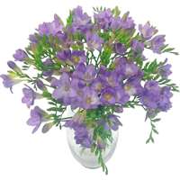 Lilac Charm Freesia Bouquet
