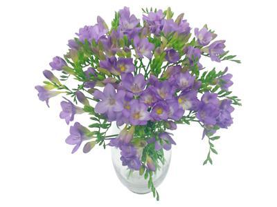 Lilac Charm Freesia Bouquet