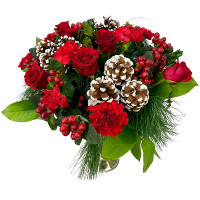 Christmas Roses & Carnations