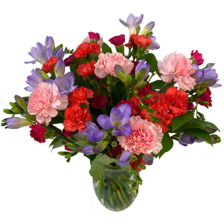 Image of Freesia and Carnation