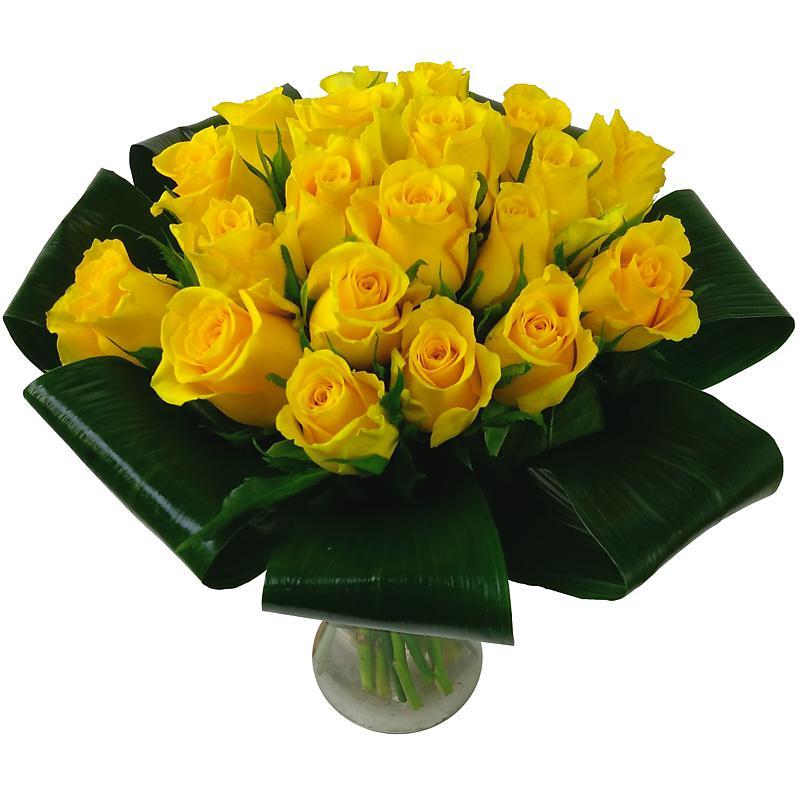 Picture of Friendship - Yellow Roses