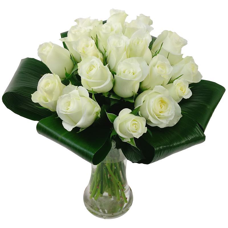 Image of Innocence White Roses