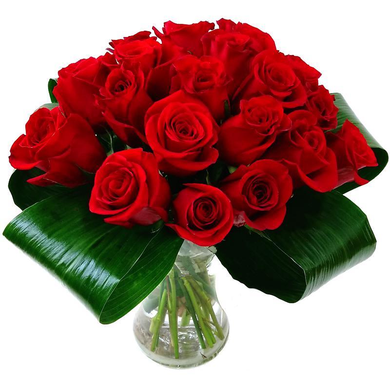 Love 20 Red Roses Fresh Flowers Bouquet