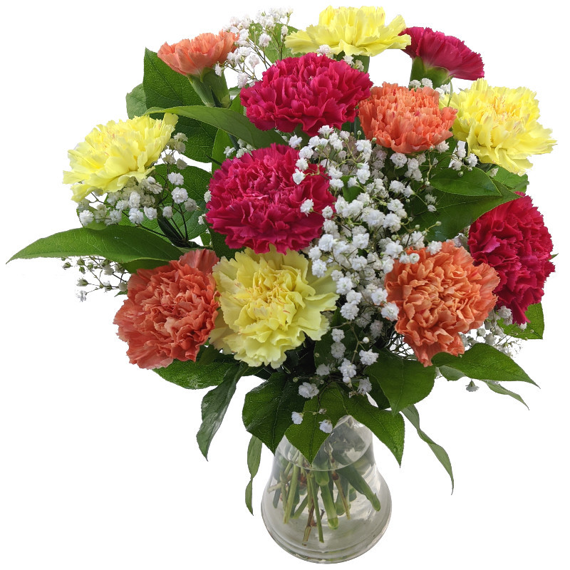 Mixed Carnations For Uk Flower Delivery From Clare Florist