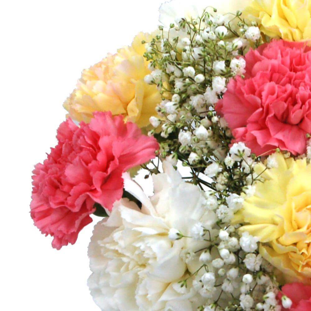 Mixed Carnations for UK flower delivery from Clare Florist.