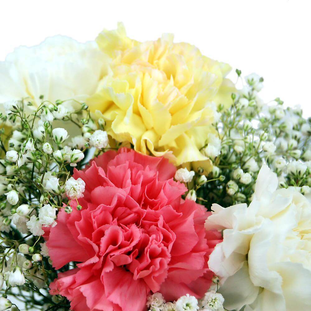 Mixed Carnations for UK flower delivery from Clare Florist.