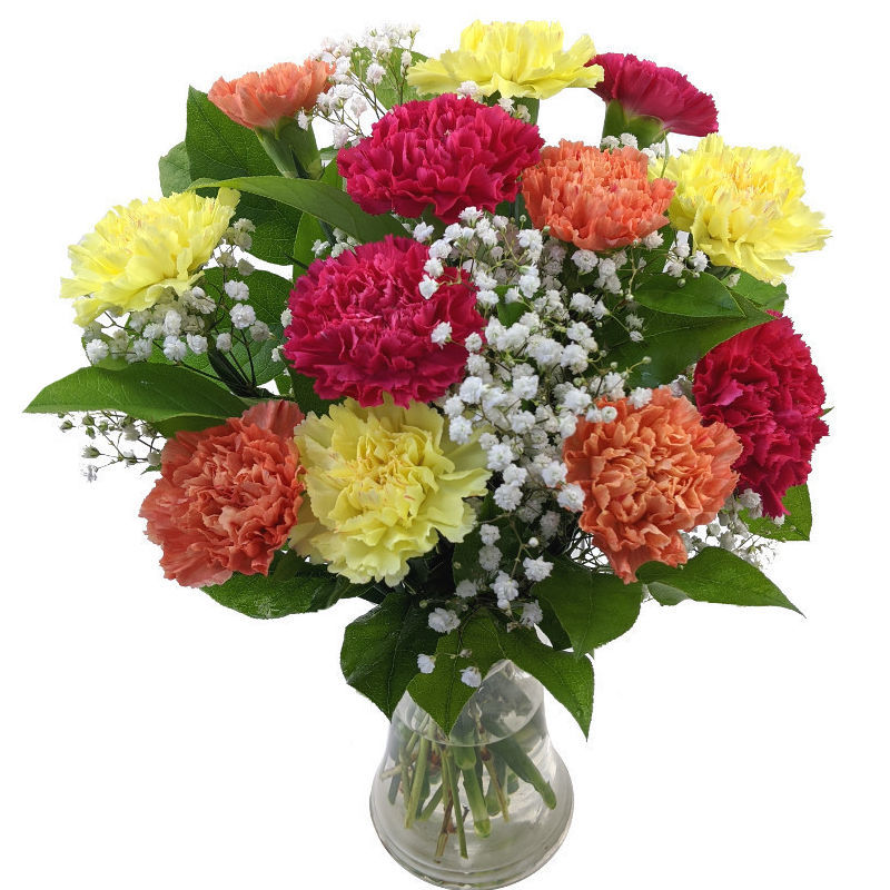 Mixed Carnations image