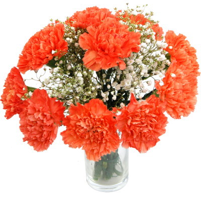 Orange Carnations