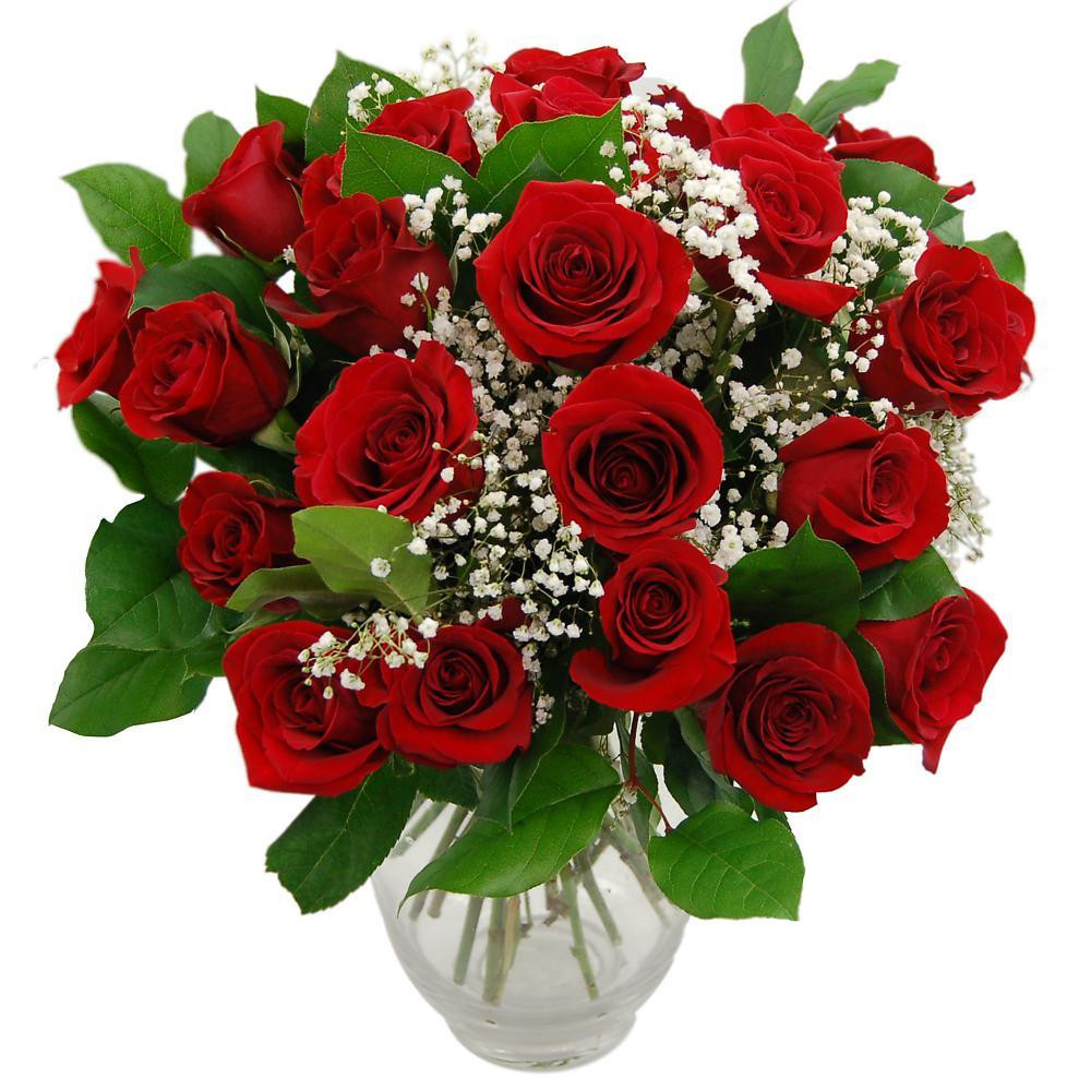 Image of Promise 24 Red Roses