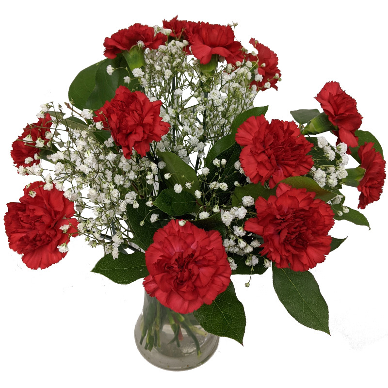 Red Carnations image