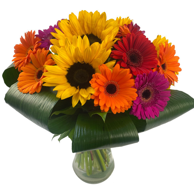 Picture of Sunflower and Germini Bouquet