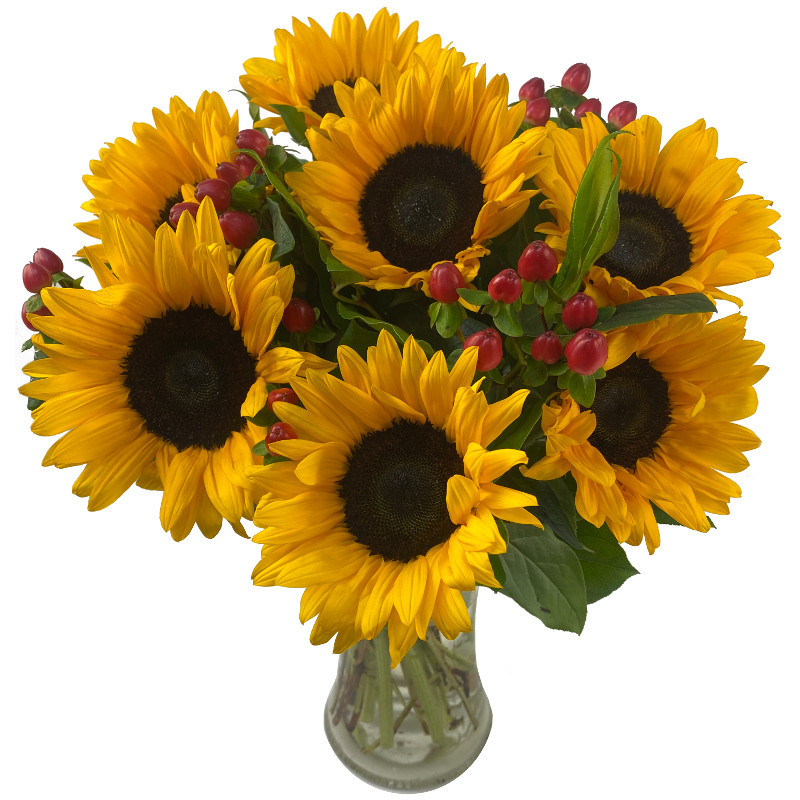 Picture of Sunflower Surprise