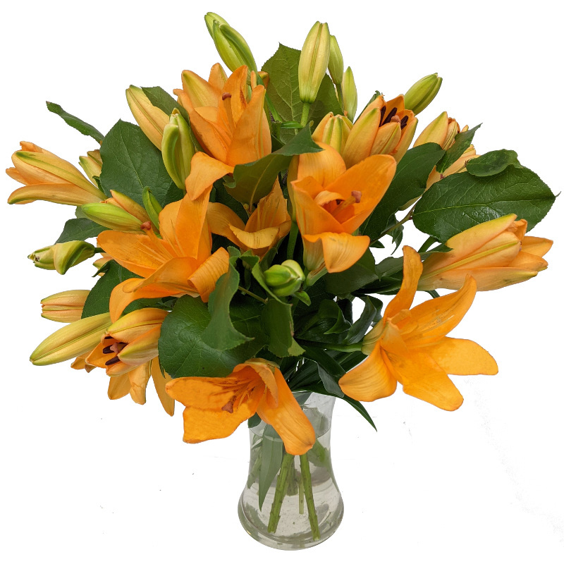 Image of Tiger Lilies