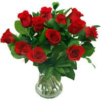 12 Red Roses True Romance Members Offer