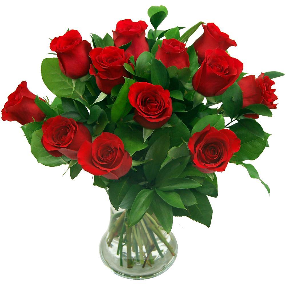 True Romance 12 Red Roses Fresh Flower Bouquet Dozen Red Roses