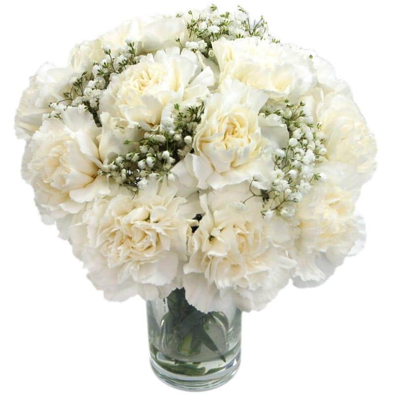 Image of White Carnations