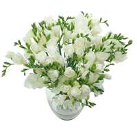 White Whispers Freesia Bouquet