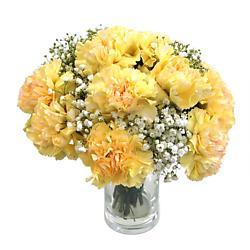 Yellow Carnations