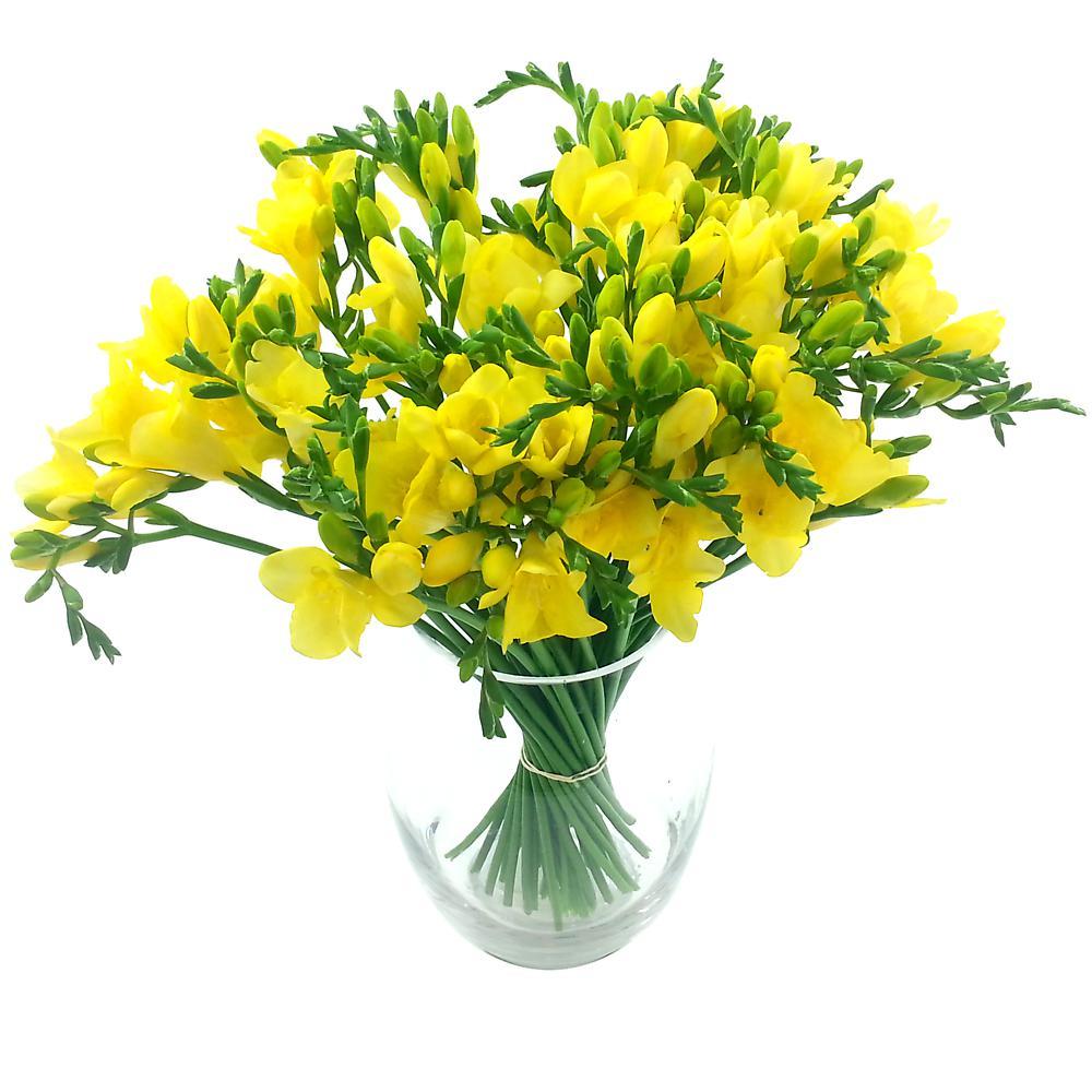 Splendour Yellow Freesia Bouquet