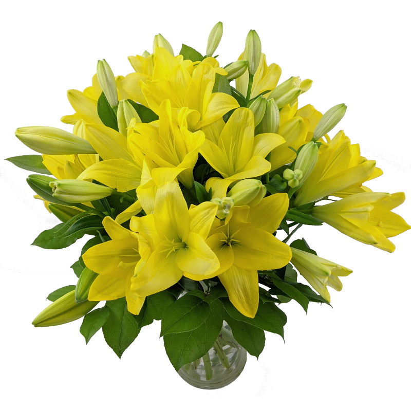 Image of Yellow Lilies